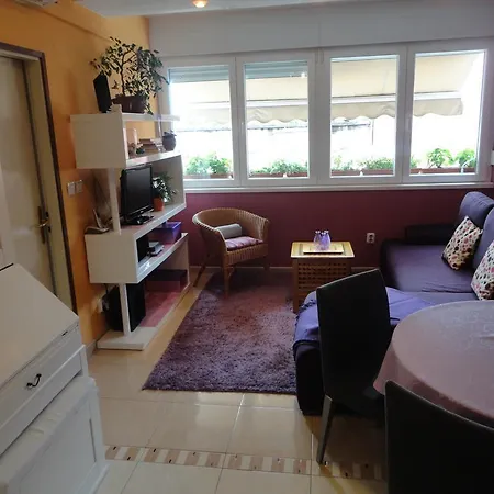 Apartman Luxury Rodin *
