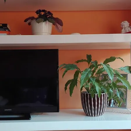 Apartamento Luxury Rodin